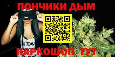 гашик Будённовск