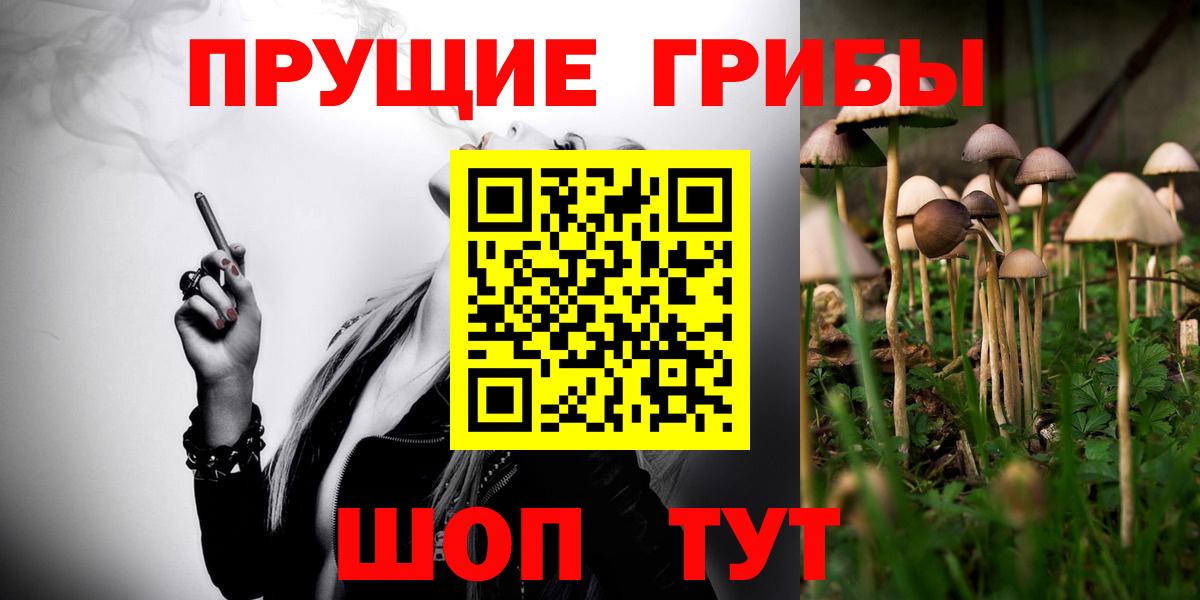 Псилоцибиновые грибы GOLDEN TEACHER Саратов