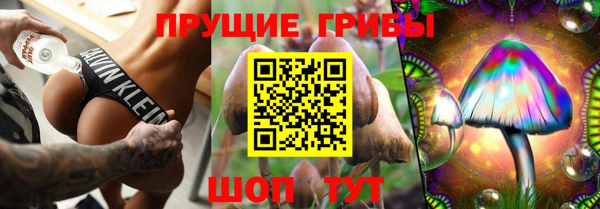 Саратов  Псилоцибиновые грибы мухоморы  Вход с VPN 